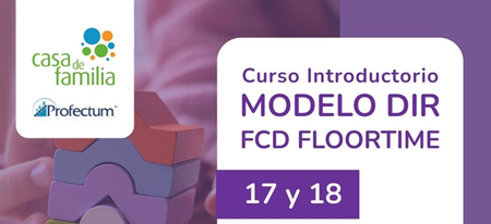 Curso Introductorio Modelo DIR